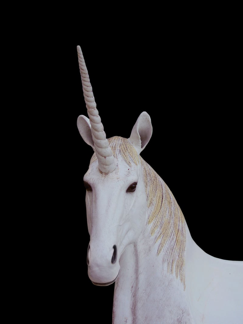 Moonlight Unicorn